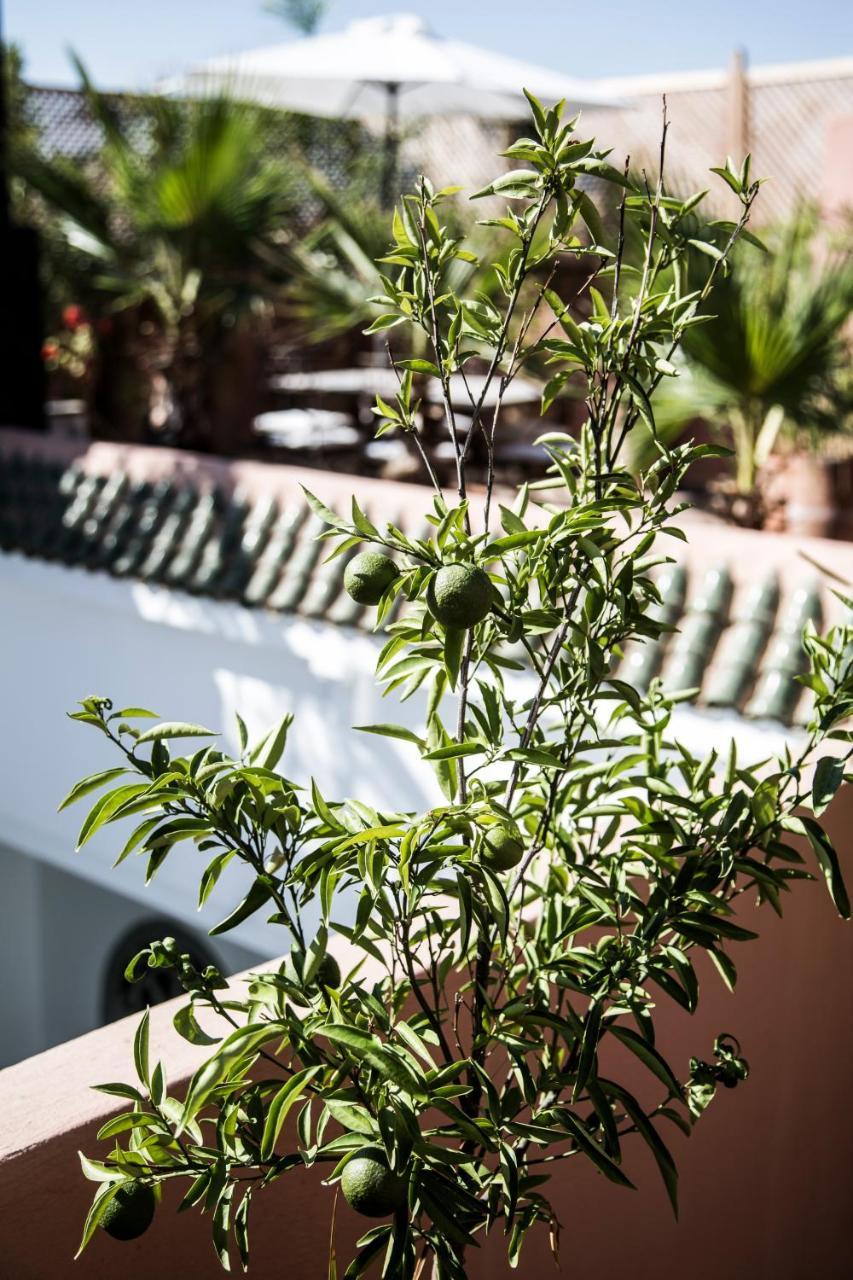 Riad Danka Hotel Marrakesh Exterior photo