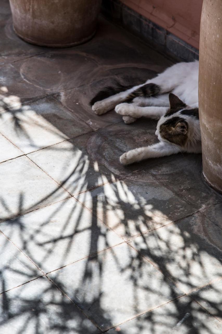 Riad Danka Hotel Marrakesh Exterior photo